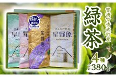 宮崎市 清武町産 緑茶4点セット 計380g_M211-001
