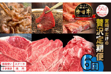 宮崎牛だけの 贅沢 定期便 6ヶ月 コース｜牛肉 国産 和牛 ヒレ ステーキ モモ バラ 焼肉 クラシタ サーロイン ブロック｜_M109-T021