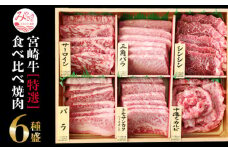 宮崎牛 特選 食べ比べ 6種盛り 合計600g_M109-014