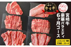 定期便 宮崎牛 豪華 バラエティ 6ヶ月 コース【牛肉 肉 6回】_M109-T020