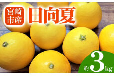 【期間・数量限定】宮崎市産 日向夏 約3kg_M184-010