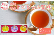 トロピカル紅茶 3点 セット_M054-005