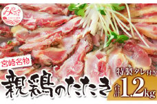 親鶏ももタタキ 炭火焼 1.2kg 特製タレ付き| たたき 鶏のたたき 鶏肉 肉 お肉 宮崎 鶏たたき 鶏刺したたき 鶏もも 鳥刺し モモ肉 おつまみ つまみ 簡単調理 時短調理 電子レンジ レンジ タレ付き 名物 特産品 宮崎名物 グルメ 宮崎グルメ 贈答 贈り物 |_M156-004_01