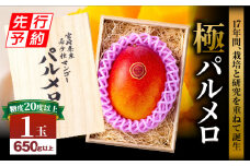 【先行予約】《2025年発送》期間・数量限定 宮崎県産 希少種マンゴー (極)パルメロ 650g以上 糖度20度以上 1玉入り_M223-002
