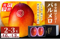 【先行予約】《2025年発送》期間・数量限定 宮崎県産 希少種マンゴー パルメロ 計 約1.0kg～1.2kg 2～3玉入り_M223-001