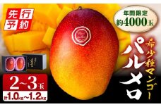 《2026年発送先行予約》【期間・数量限定】宮崎県産 希少種マンゴー パルメロ 計 約1.0kg～1.2kg 2～3玉入り_M223-001