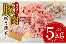 宮崎県産豚切り落とし 合計5kg 豚肉 切り落とし 切り落し 5kg 真空パック 250g 20パック 小分け パック 便利 使いやすい 食品 豚丼 焼きそば 肉じゃが お鍋 おすすめ お取り寄せ お取り寄せグルメ 肉 お肉 国産 宮崎県産 宮崎 宮崎県 宮崎市 _M144-016