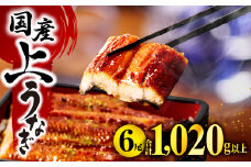 国産うなぎ 蒲焼6尾(計1020g以上) 鰻蒲焼用たれとさんしょうのセット(うなぎ1尾170g以上の鰻6尾からなるウナギの詰め合わせ) | 冬うなぎ 鰻 うなぎ ウナギ 国産 鰻蒲焼き 蒲焼き うな重 ひつまぶし タレ 冷凍 6尾 贈答 化粧箱入り 簡単調理 丑の日 ご褒美 記念日 |_M040-013_01