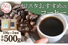 《豆のまま》バリスタおすすめのコーヒー 250g×2種類 計500g_M200-005_01_b