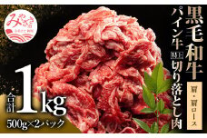 宮崎県産 黒毛和牛 パイン牛 特上 切り落とし肉 (肩・肩ロース) 計1kg (500g×2)_M226-003