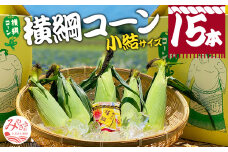 【期間・数量限定】横綱コーン(小結サイズ)_M244-001
