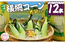 【期間・数量限定】横綱コーン(大関サイズ)_M244-002