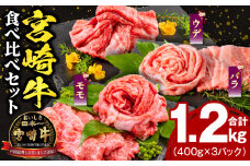 宮崎牛ウデスライス400g 宮崎牛モモスライス400g 宮崎牛バラスライス400g_M132-026