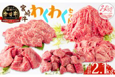 宮崎牛わくわく2.1kgセット_M241-003