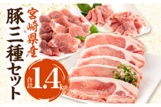 宮崎県産 豚ロース トンカツ 5枚 豚ロース しゃぶ 500g×1 豚ヒレ トンカツ 400g×1_M132-029