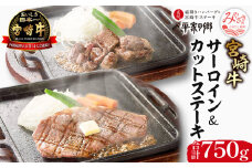 宮崎牛 サーロイン ステーキ カットステーキ セット 計750g 平家の郷 詰め合わせセットA｜牛肉 国産 和牛 牛肉ステーキ｜_M222-001
