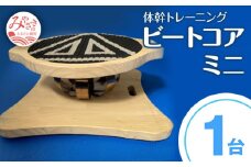 体幹トレーニング ビートコア ミニ_M194-003