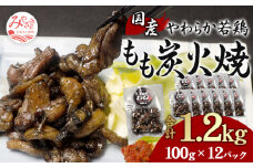 やわらか 若鶏もも 炭火焼き 100g×12パック 宮崎名物炭火焼_M239-002