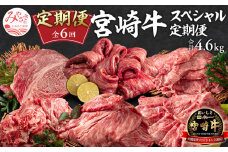 定期便 6ヶ月 お楽しみ 宮崎牛 スペシャル6種セット 計4.6kg【牛肉 国産 宮崎牛 6回 毎月】_M241-T010