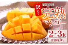 《2025年発送》【期間・数量限定】【訳あり】 完熟マンゴー 合計約1kg (2～3玉)_M126-026