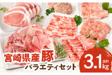 宮崎県産豚 バラエティセット7種 合計3.1kg_M132-038