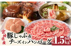 宮崎県産豚 ロース1kg&チーズインハンバーグ5個 セット_M132-039