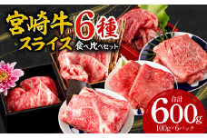 宮崎牛 スライス 6種 食べ比べ セット 合計600g_M132-043