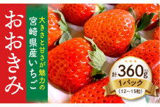 【数量・期間限定】宮崎県産いちご「おおきみ」1パック(計360g以上：12粒～15粒)_M260-001