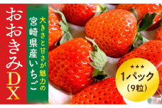【数量・期間限定】宮崎県産いちご「おおきみDX」1パック（9粒）_M260-004