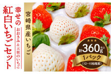 【数量・期間限定】宮崎県産 幸せの紅白いちごセット（おおきみ&天使のいちご）1パック_M260-006