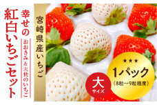 【数量・期間限定】宮崎県産 幸せの紅白いちごセット（おおきみ&天使のいちご）大サイズ1パック_M260-009