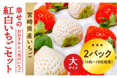【数量・期間限定】宮崎県産 幸せの紅白いちごセット（おおきみ&天使のいちご）大サイズ2パック_M260-010