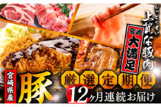 《期間・数量限定》 厳選!宮崎県産豚 定期便 Sコース 《2024年3月から毎月お届け!》 全12回_M153-T016