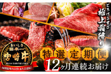 《期間・数量限定》 特選! 宮崎牛 定期便 Bコース 《2024年3月から毎月お届け!》 全12回_M153-T018