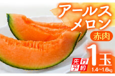 【先行予約】期間限定 数量限定 宮崎産 アールスメロン <赤肉> 1玉 (1.4～1.6kg)_M126-028_01