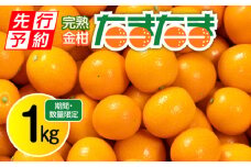 《2025年発送先行予約》【期間・数量限定】完熟金柑たまたま 約1kg_M184-014