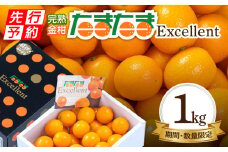 《2025年発送先行予約》【期間・数量限定】完熟金柑たまたまエクセレント 約1kg_M184-015