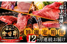 《期間・数量限定》 特選! 宮崎牛 定期便 Sコース 《2024年3月から毎月お届け!》 全12回_M153-T020