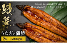 うなぎ蒲焼 「鰻葦」 2尾 冬うなぎ_M263-003