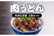 ＜大盛うどん＞肉うどん 冷凍なま麺 5食セット_M253-002