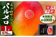 《2026年発送先行予約》【期間・数量限定】宮崎県産希少種マンゴーパルメロ　計576g以上　1玉入り| マンゴー 完熟マンゴー 完熟 宮崎 宮崎県産 パルメロ 1玉 果物 フルーツ スイーツ デザート ご褒美 贈り物 贈答 化粧箱 希少 甘い 新鮮 冷蔵 高糖度 |_M223-003