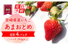 《2025年発送先行予約》【期間・数量限定】いちご「あまおとめ」 (250g×4トレイ・パック)_M267-001