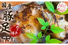  豚足（約150ｇ～200ｇ）5パック 特製塩付き_M063-005