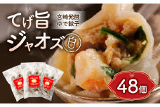 てげ旨ジャオズ【白】6食分（48個入）_M276-002