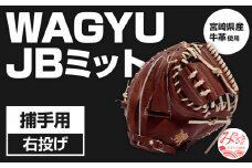 宮崎県産牛革使用 WAGYU JB 硬式用 ミット 捕手用 JB-002F(ブラウン/右投げ用)_M147-052