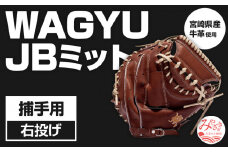宮崎県産牛革使用 WAGYU JB 硬式用 ミット 捕手用 JB-002S(ブラウン/右投げ用)_M147-053