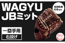 宮崎県産牛革使用 WAGYU JB 硬式用 ミット 一塁手用 JB-003E(ブラウン/右投げ用)_M147-056