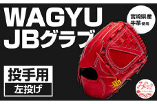 宮崎県産牛革使用 WAGYU JB 硬式用 グラブ 投手用 JB-001T(パワーオレンジ/左投げ用)_M147-012_01