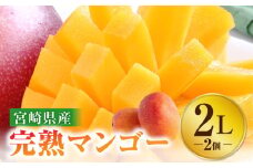 《2025年発送》【期間・数量限定】宮崎特産品　宮崎県産完熟マンゴー　2L×2個_M275-001