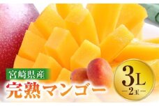 《2026年発送先行予約》【数量・期間限定】宮崎特産品 宮崎県産完熟マンゴー 3L×2玉_M275-002